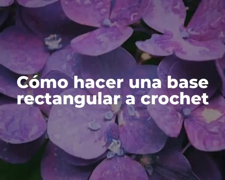 Cómo hacer una base rectangular a crochet