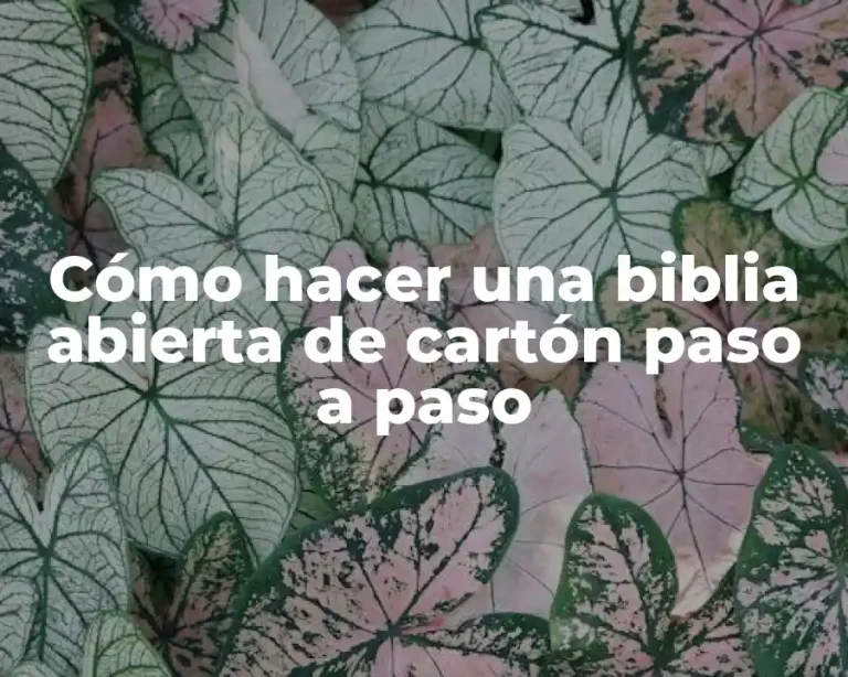 Cómo hacer una biblia abierta de cartón paso a paso