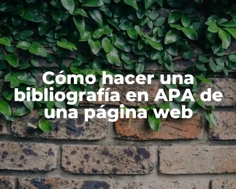 Cómo hacer una bibliografía en APA de una página web