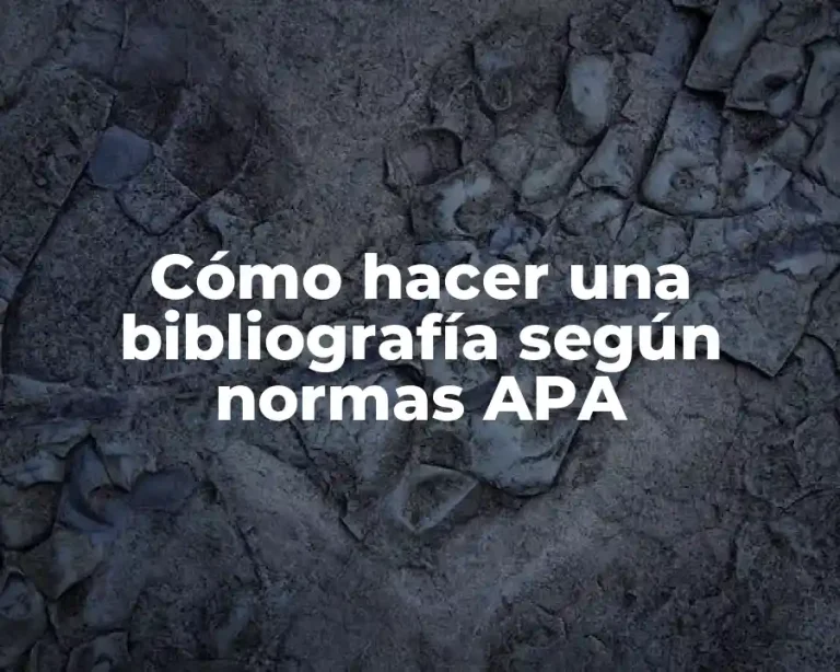Cómo hacer una bibliografía según normas APA