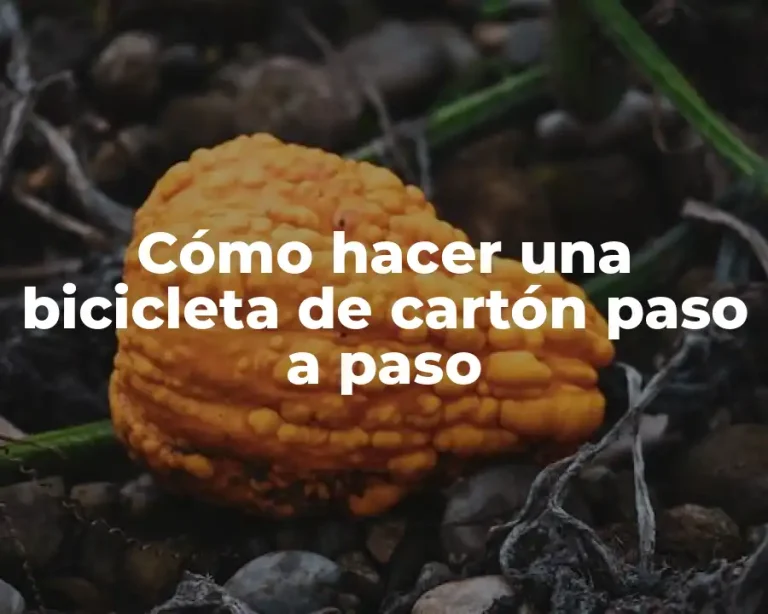 Cómo hacer una bicicleta de cartón paso a paso
