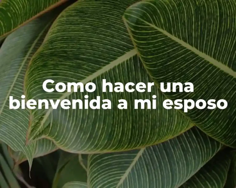 Como hacer una bienvenida a mi esposo