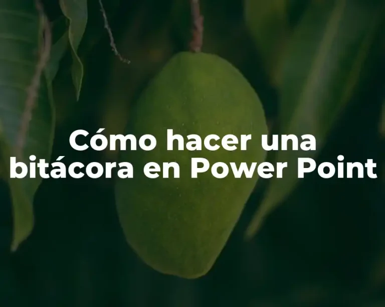 Cómo hacer una bitácora en Power Point