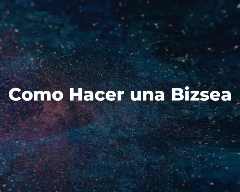 Como Hacer una Bizsea