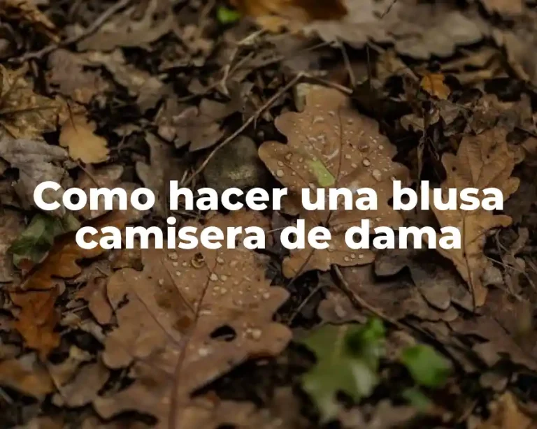 Como hacer una blusa camisera de dama