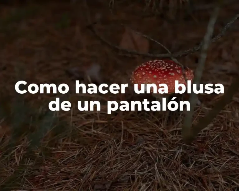 Como hacer una blusa de un pantalón