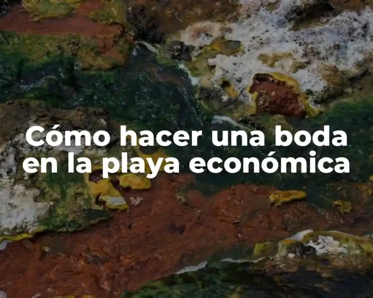 Cómo hacer una boda en la playa económica