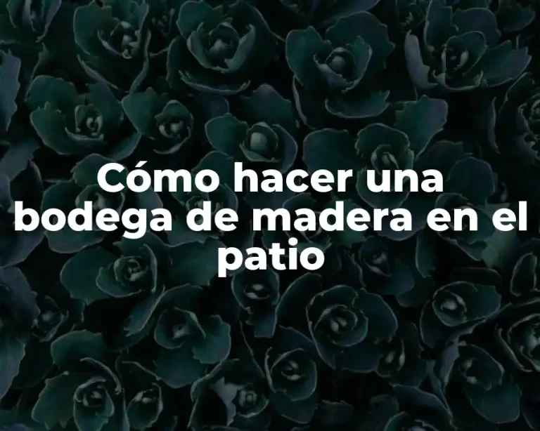Cómo hacer una bodega de madera en el patio