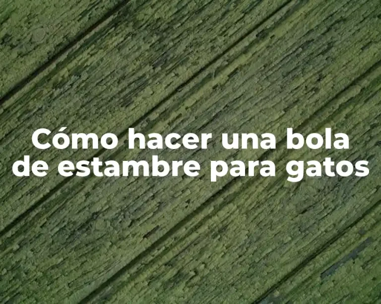 Cómo hacer una bola de estambre para gatos