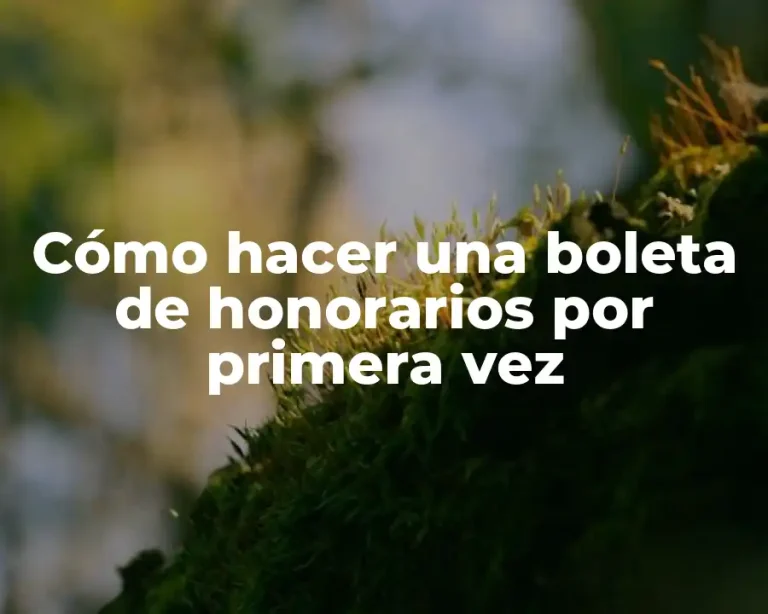 Cómo hacer una boleta de honorarios por primera vez