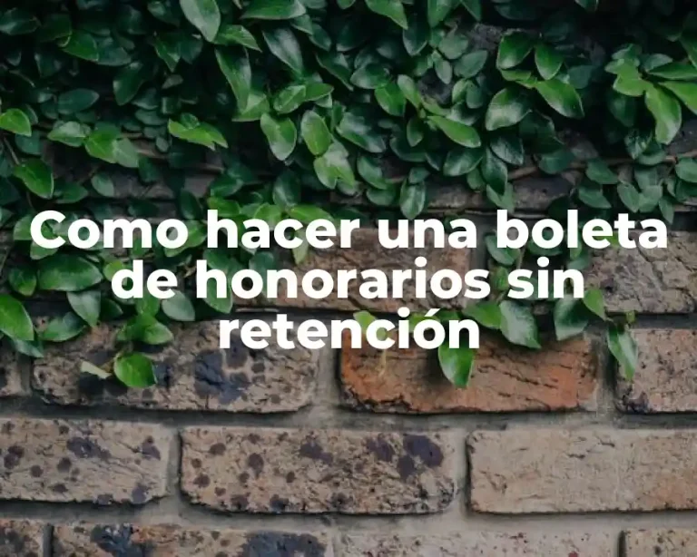 Como hacer una boleta de honorarios sin retención