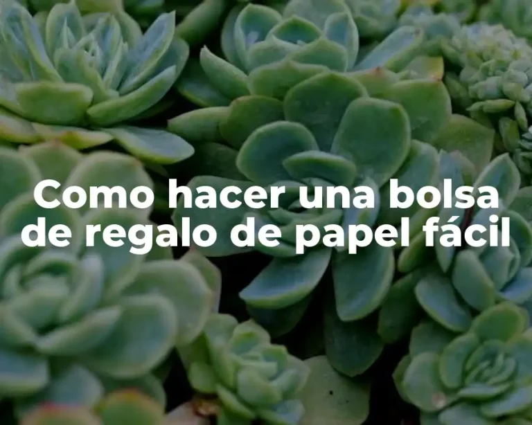 Como hacer una bolsa de regalo de papel fácil