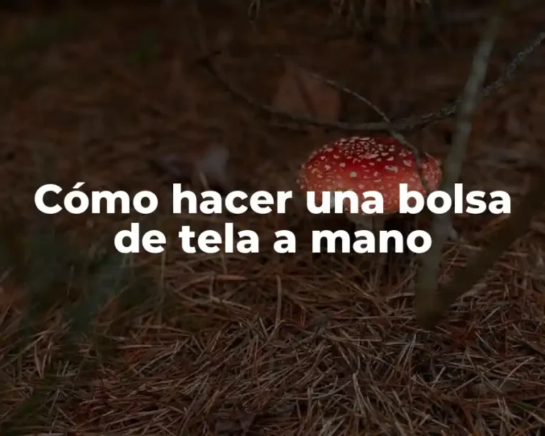 Cómo hacer una bolsa de tela a mano