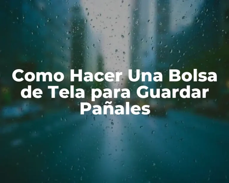 Como Hacer Una Bolsa de Tela para Guardar Pañales