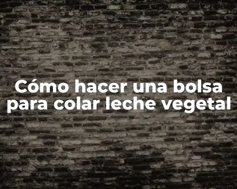 Cómo hacer una bolsa para colar leche vegetal