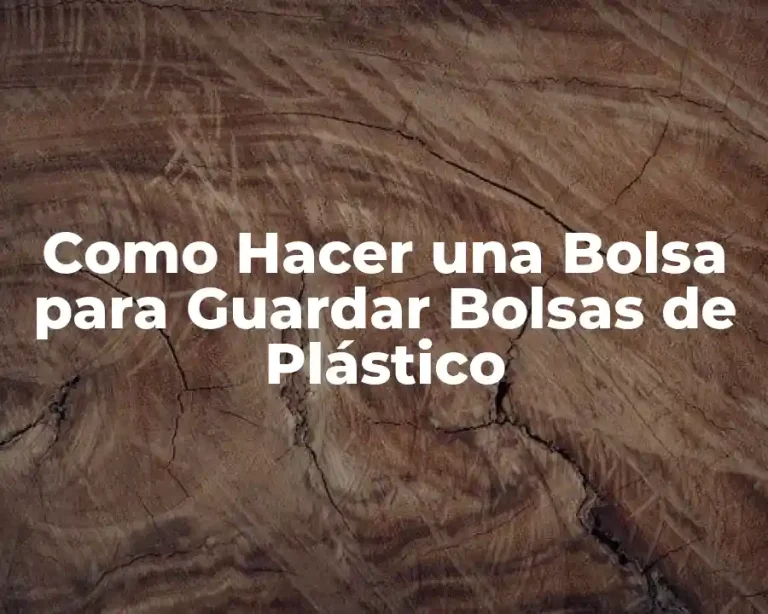 Como Hacer una Bolsa para Guardar Bolsas de Plástico