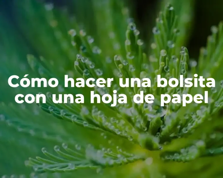 Cómo hacer una bolsita con una hoja de papel