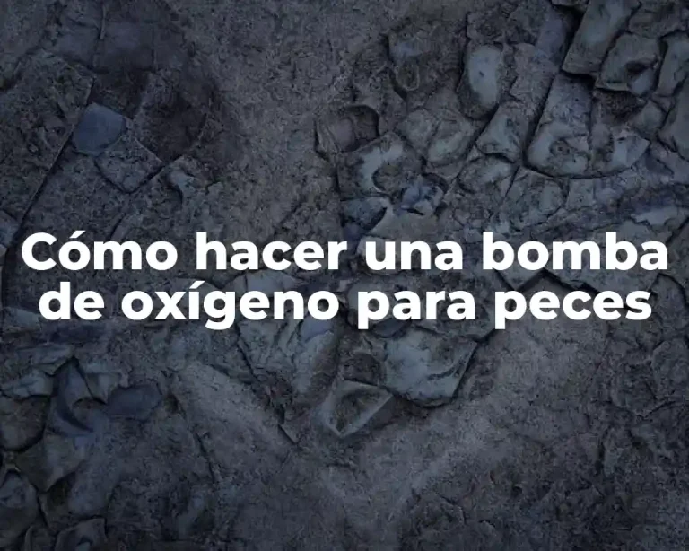 Cómo hacer una bomba de oxígeno para peces
