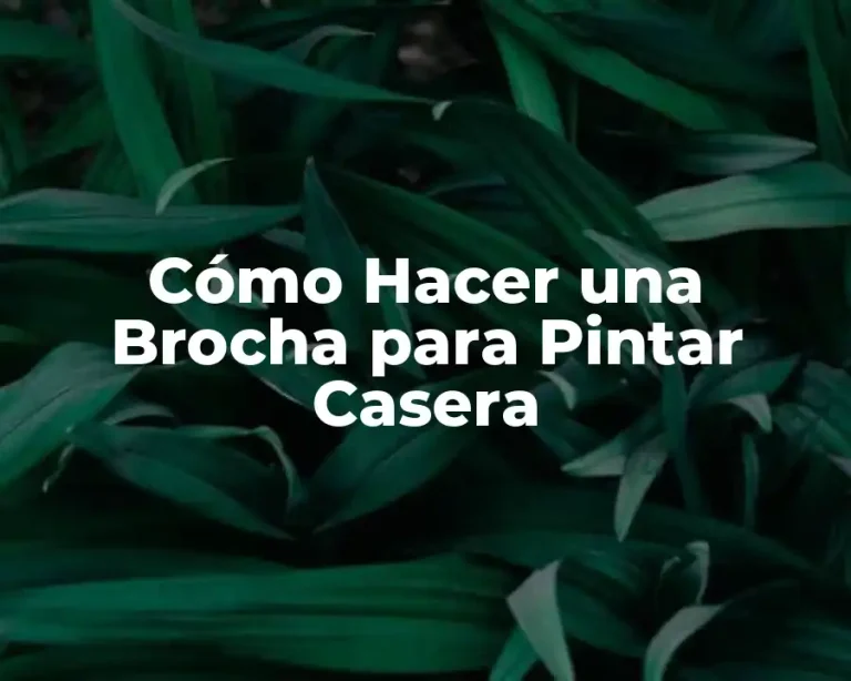 Cómo Hacer una Brocha para Pintar Casera