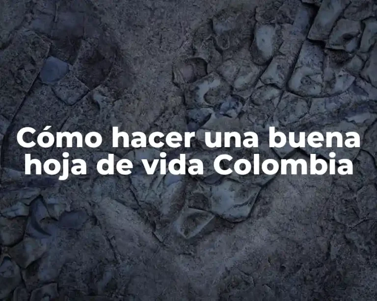 Cómo hacer una buena hoja de vida Colombia