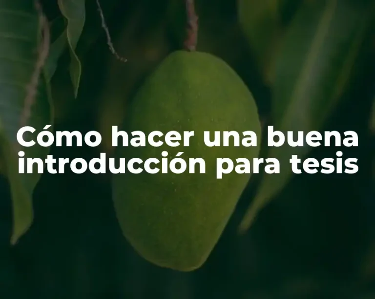 Cómo hacer una buena introducción para tesis