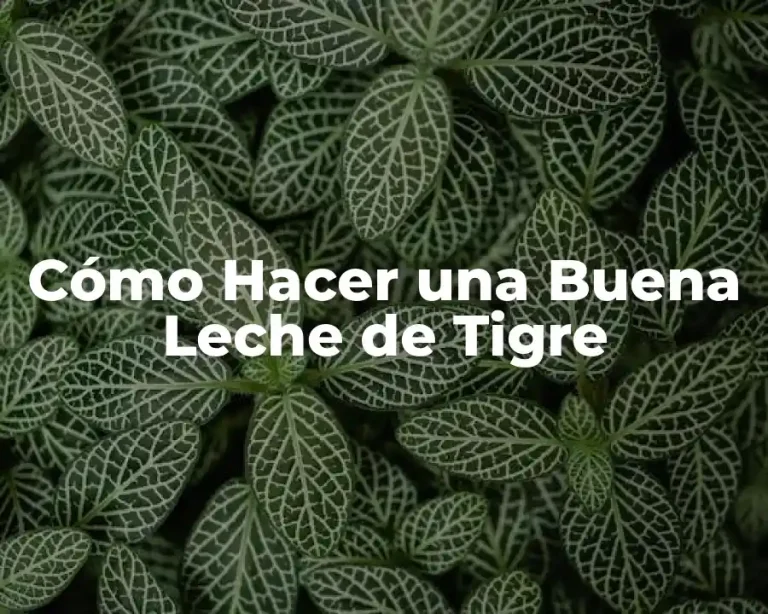 Cómo Hacer una Buena Leche de Tigre
