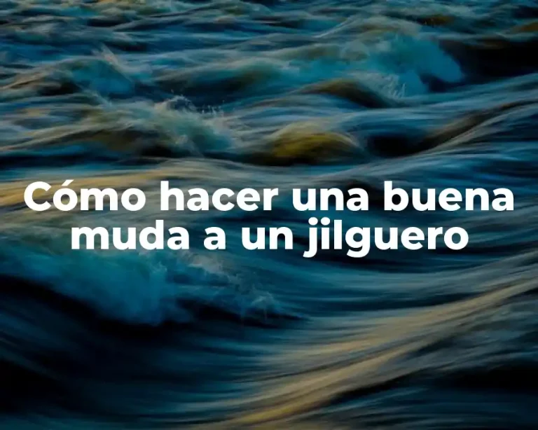 Cómo hacer una buena muda a un jilguero