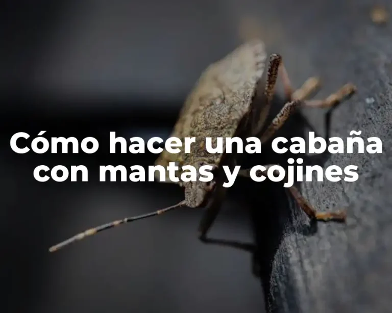 Cómo hacer una cabaña con mantas y cojines