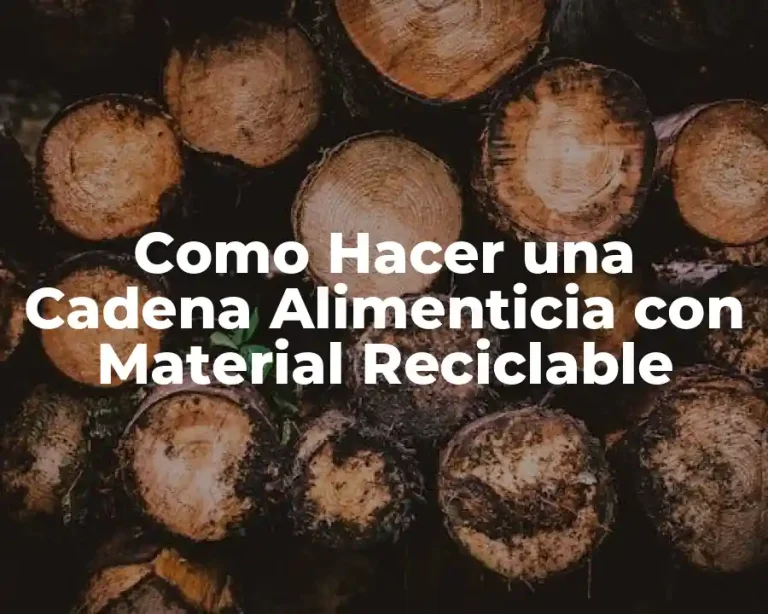 Como Hacer una Cadena Alimenticia con Material Reciclable