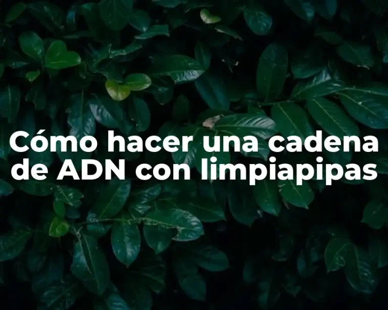 Cómo hacer una cadena de ADN con limpiapipas