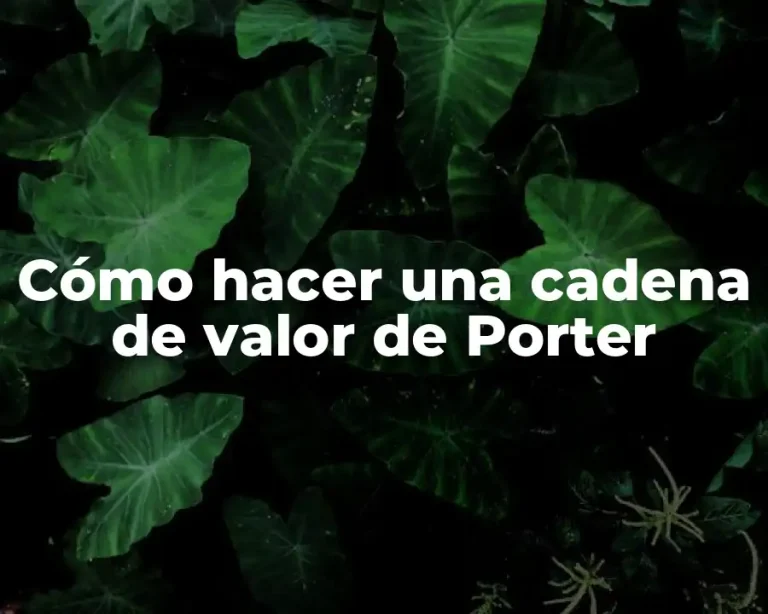 Cómo hacer una cadena de valor de Porter