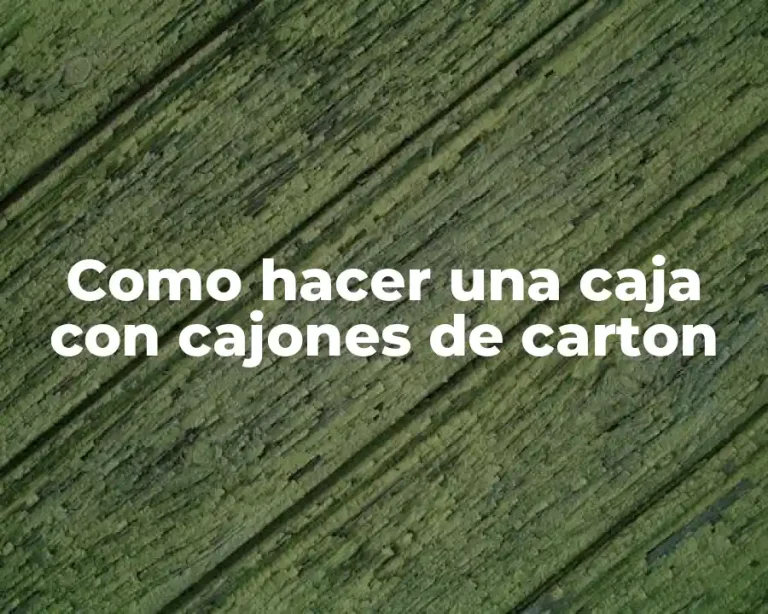Como hacer una caja con cajones de carton