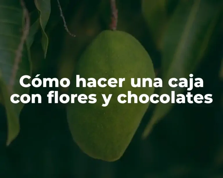 Cómo hacer una caja con flores y chocolates