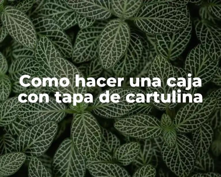 Como hacer una caja con tapa de cartulina