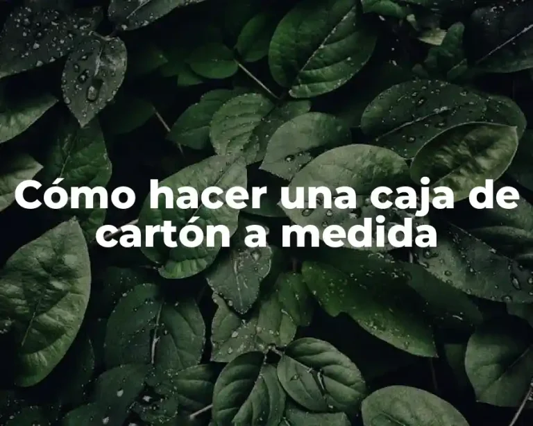 Cómo hacer una caja de cartón a medida