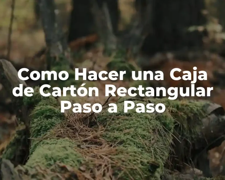 Como Hacer una Caja de Cartón Rectangular Paso a Paso