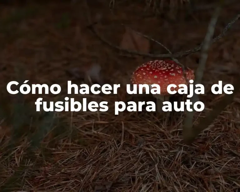 Cómo hacer una caja de fusibles para auto