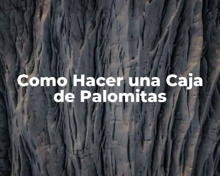 Como Hacer una Caja de Palomitas