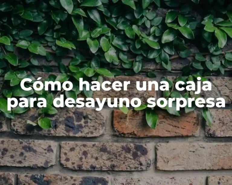 Cómo hacer una caja para desayuno sorpresa