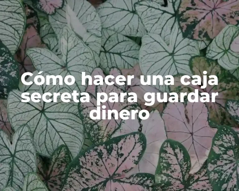 Cómo hacer una caja secreta para guardar dinero