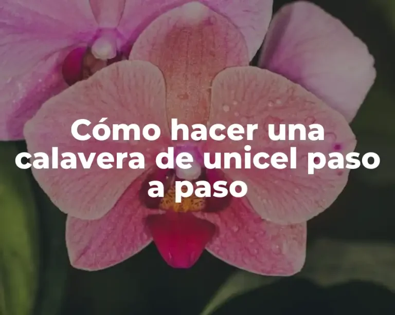 Cómo hacer una calavera de unicel paso a paso