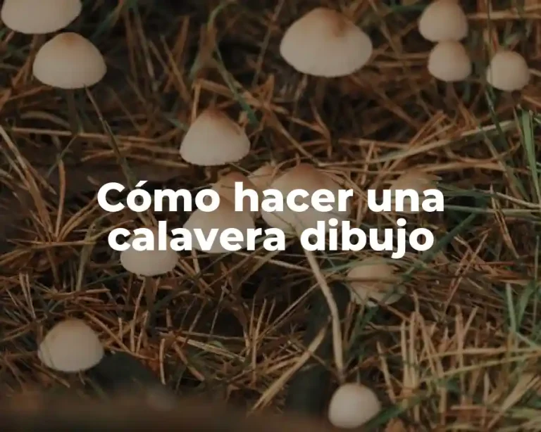 Cómo hacer una calavera dibujo