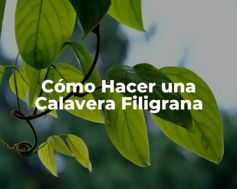 Cómo Hacer una Calavera Filigrana