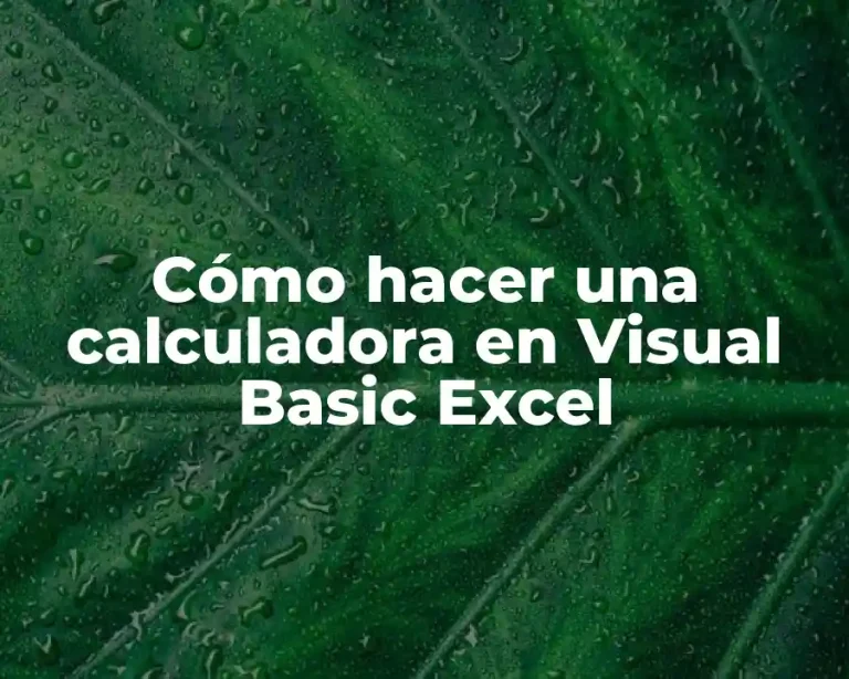 Cómo hacer una calculadora en Visual Basic Excel