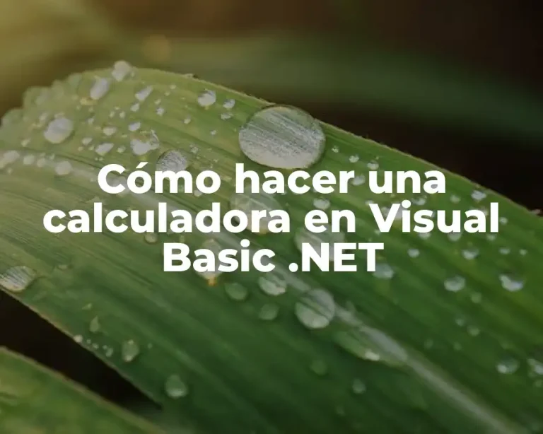 Cómo hacer una calculadora en Visual Basic .NET