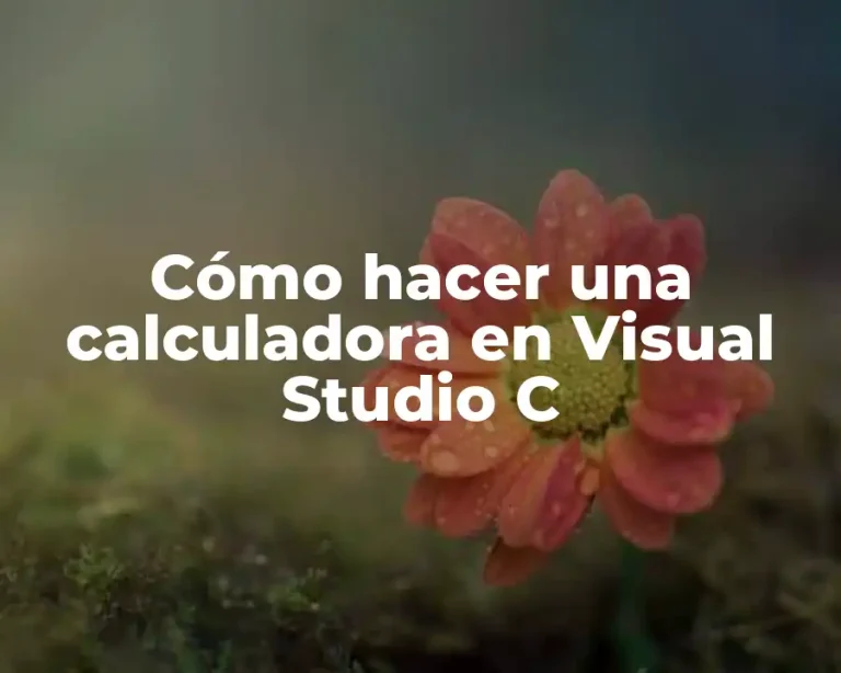 Cómo hacer una calculadora en Visual Studio C