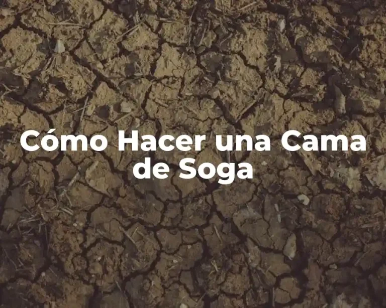 Cómo Hacer una Cama de Soga