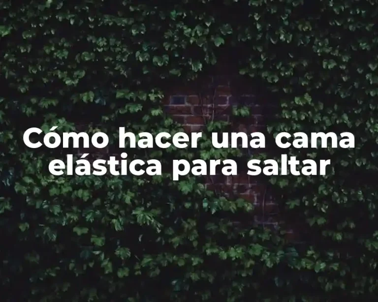 Cómo hacer una cama elástica para saltar