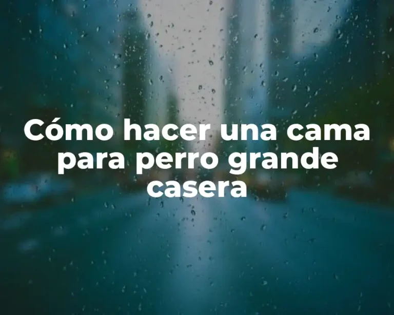 Cómo hacer una cama para perro grande casera