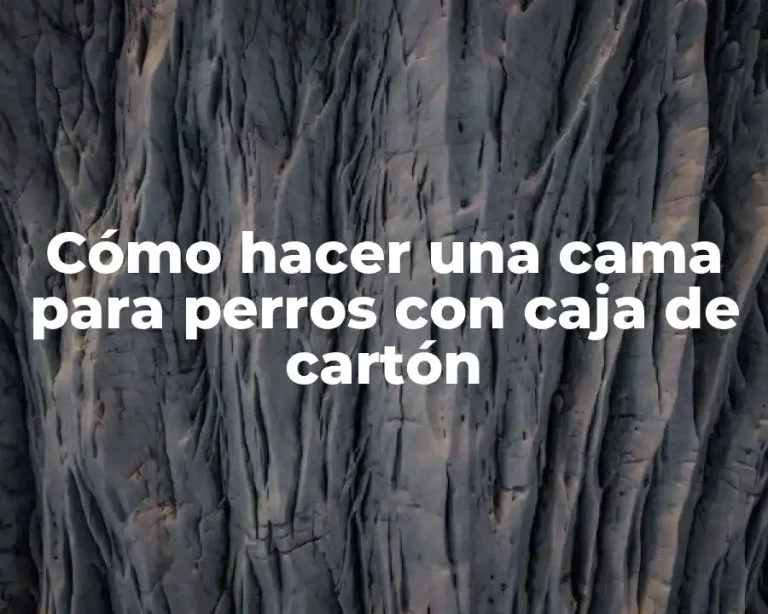 Cómo hacer una cama para perros con caja de cartón